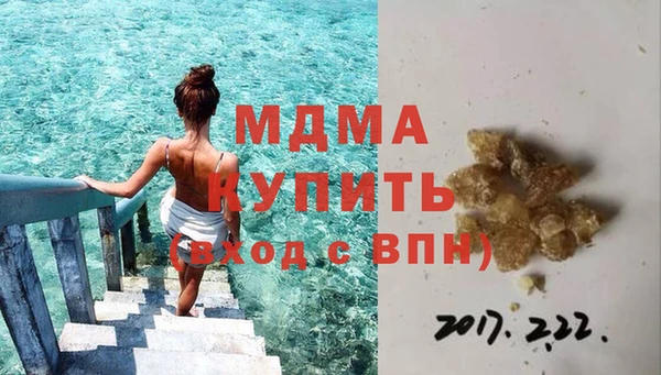 прущие грибы Абинск