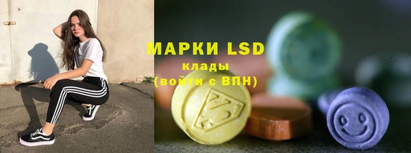 прущие грибы Абинск