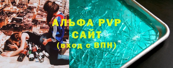 прущие грибы Абинск