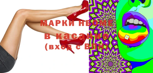 прущие грибы Абинск