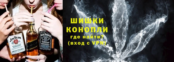 прущие грибы Абинск