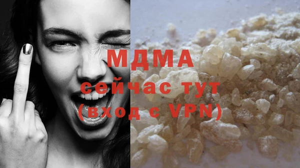 прущие грибы Абинск