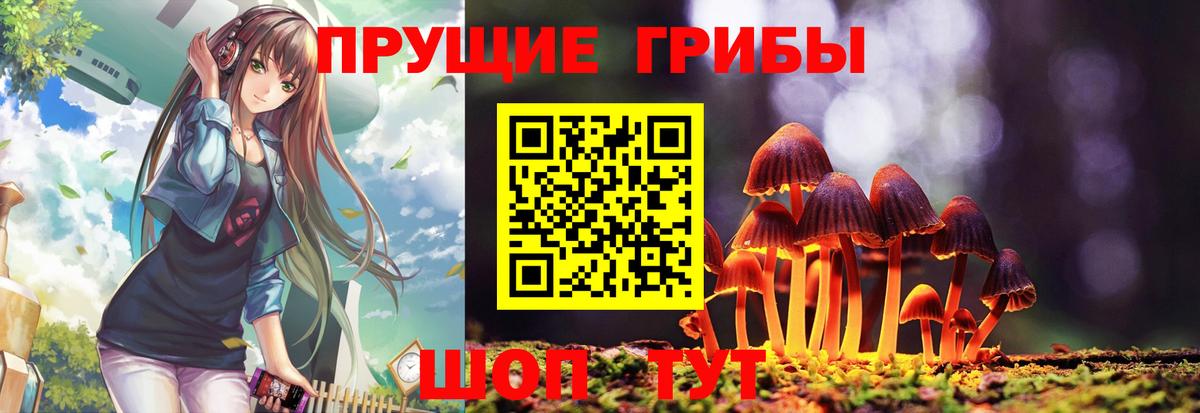 Курск  Псилоцибиновые грибы Magic Shrooms  Вход с VPN 