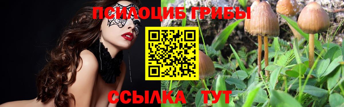 Галлюциногенные грибы прущие грибы Курск